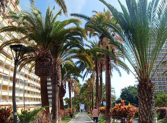 Paraiso San Telmo * Puerto de la Cruz (Tenerife)