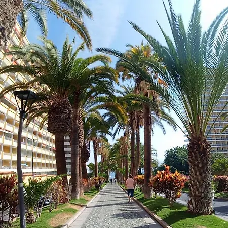 Paraiso San Telmo * 푸에르토 드 라 크루즈