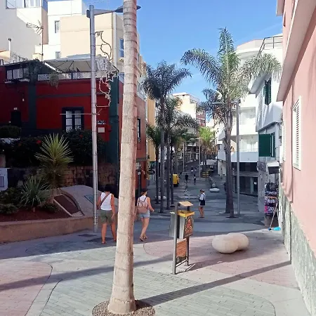 Paraiso San Telmo 아파트